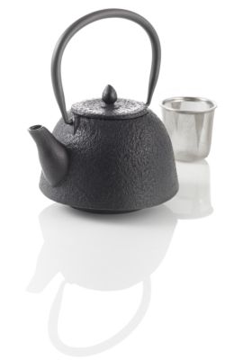 Nanbu Hada Cast Iron Teapot
